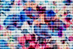 overlap effect-505