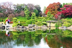 晩秋の日本庭園-1