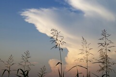 夏…日没30分前の空