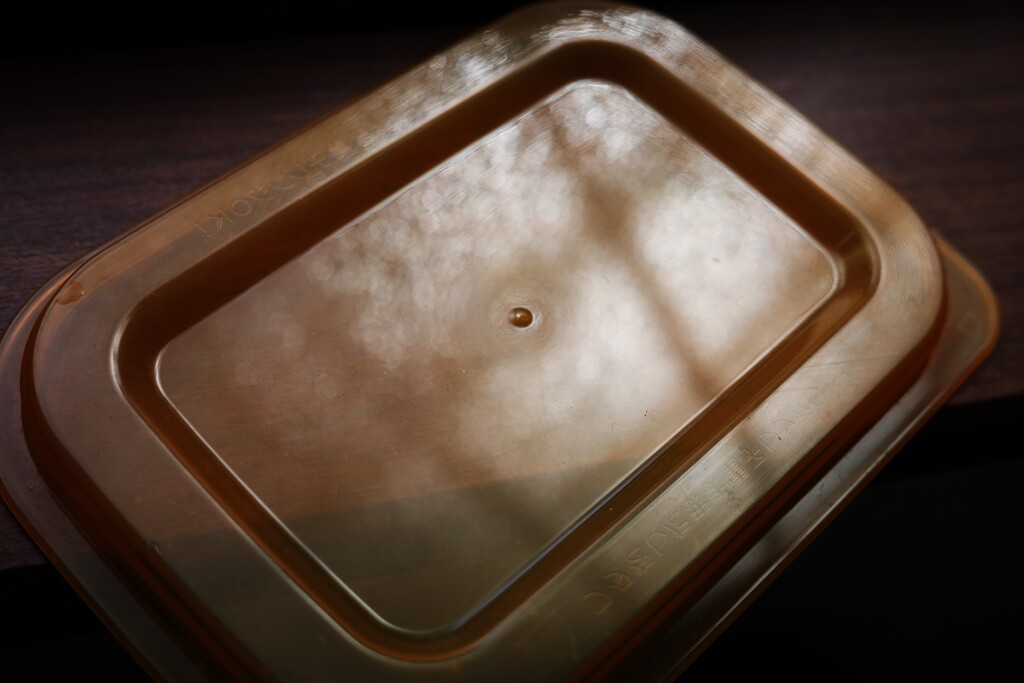 Light and shadow-819