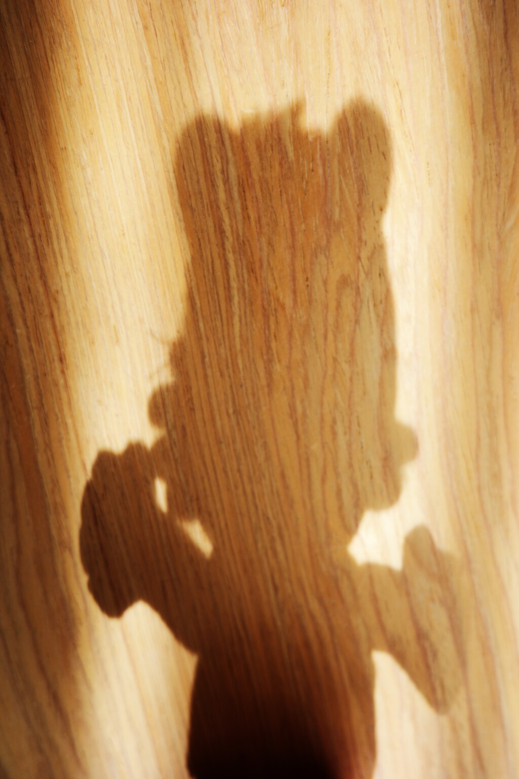 Light and shadow-837