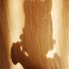 Light and shadow-837