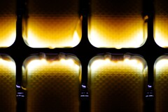 Light and shadow-846
