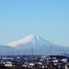 里山から見た富士山