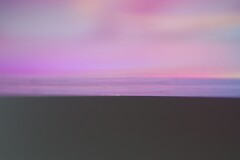 Reflection-554