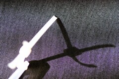 Light and shadow-925