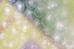 プチプチのせかい-13