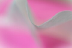 舞う-6