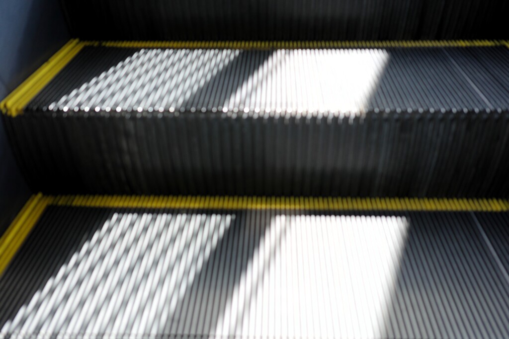 Light and shadow-814
