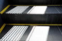 Light and shadow-814