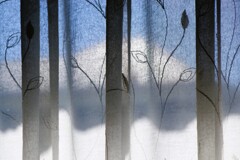 Light and shadow-660