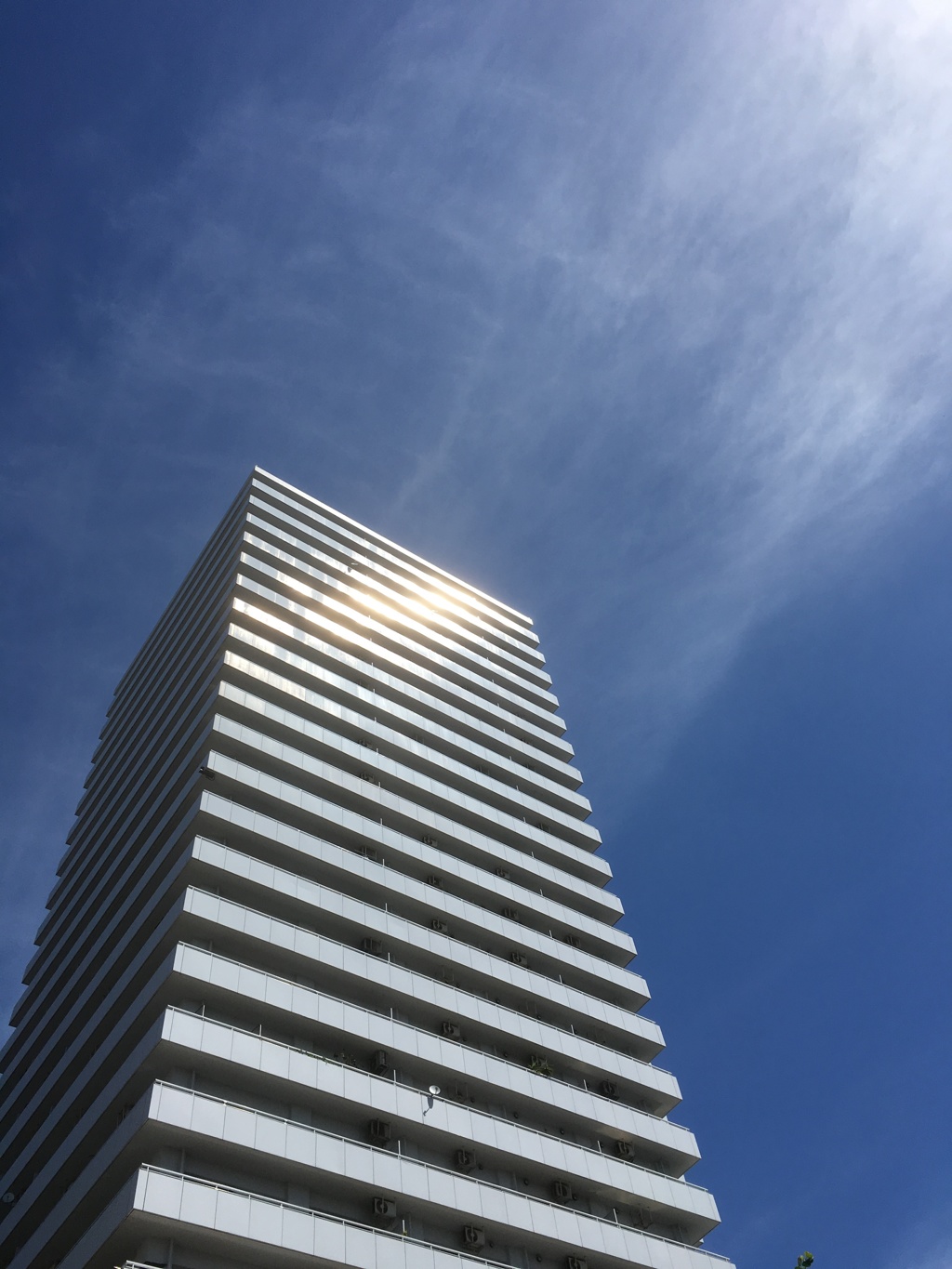 sunlight-1