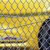 yellow and black-1