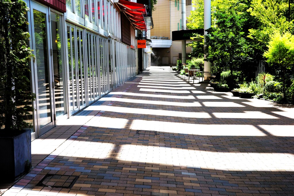 Light and shadow-817