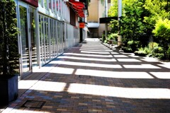 Light and shadow-817