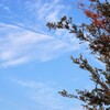 鋭角な雲