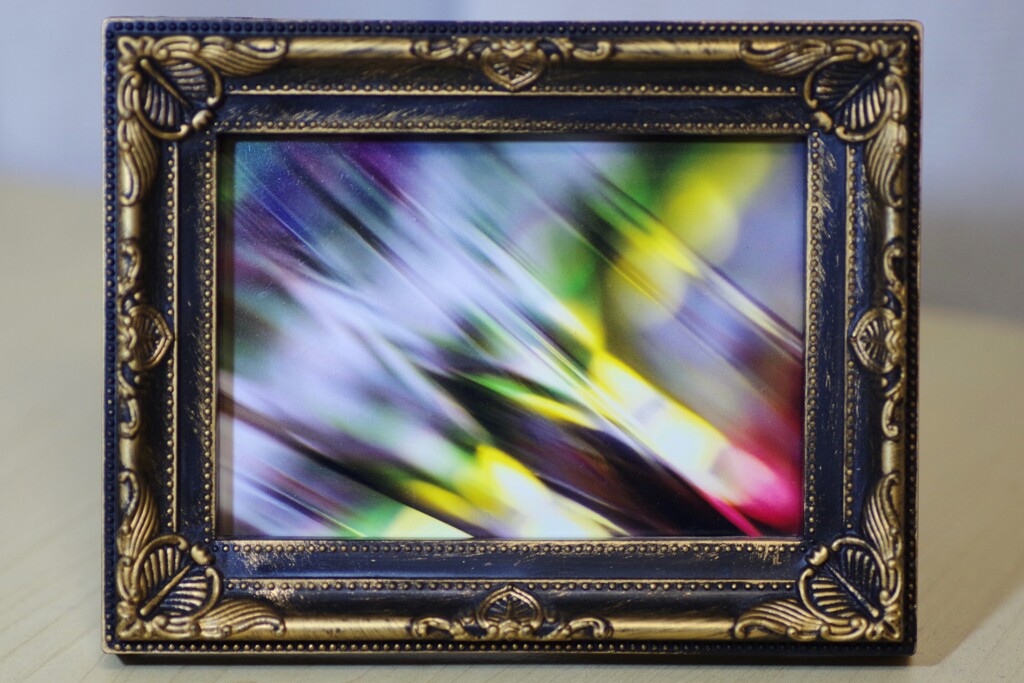 フォトフレームに入れてみた-24