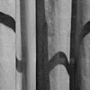 Light and shadow-416