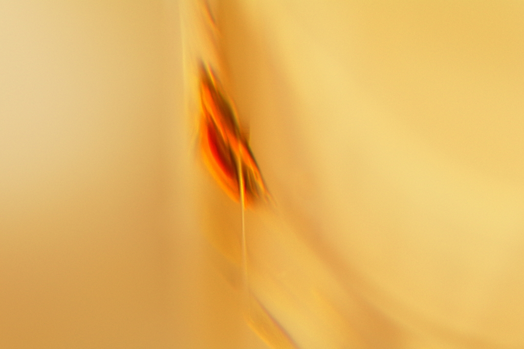 Reflection-590 reverse