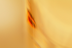 Reflection-590 reverse