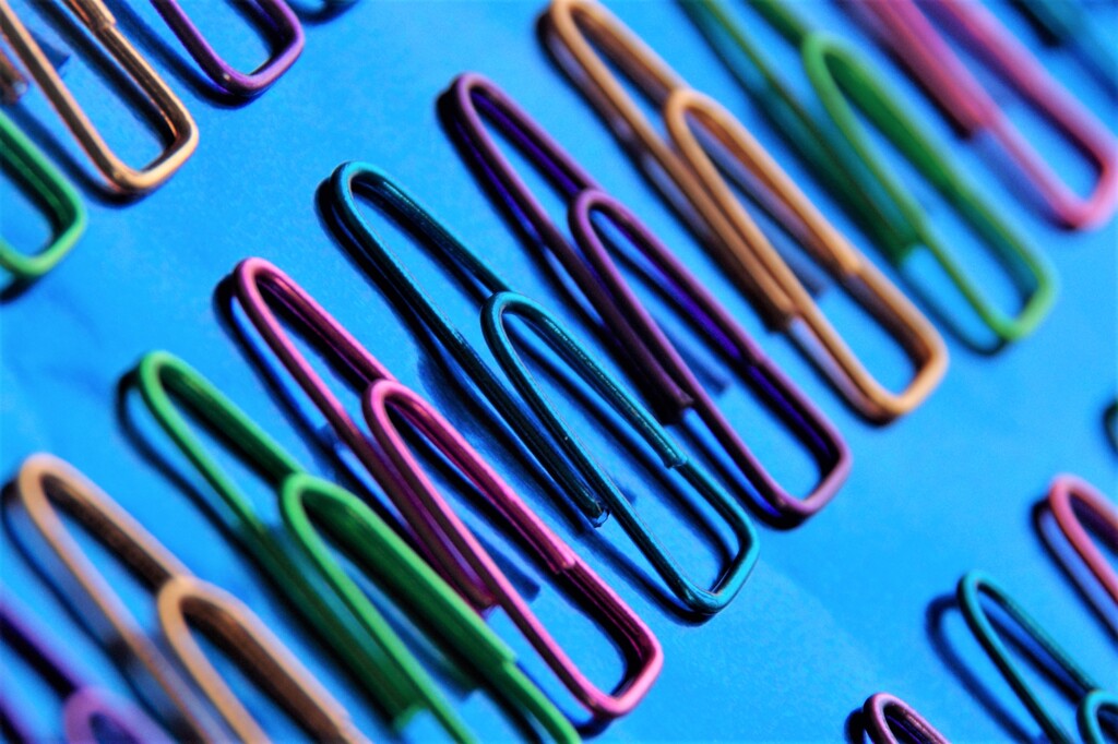 Light and shadow-541