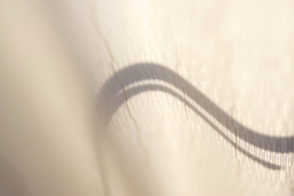 Light and shadow-684