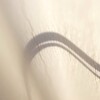 Light and shadow-684