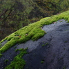越後湯沢の秋-4