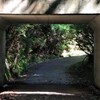 Light and shadow-420