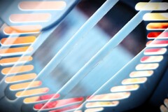 overlap effect-379 overlap effect-379