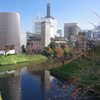 田安門 秋-1