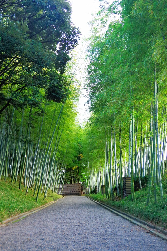 心落ち着く空間-1
