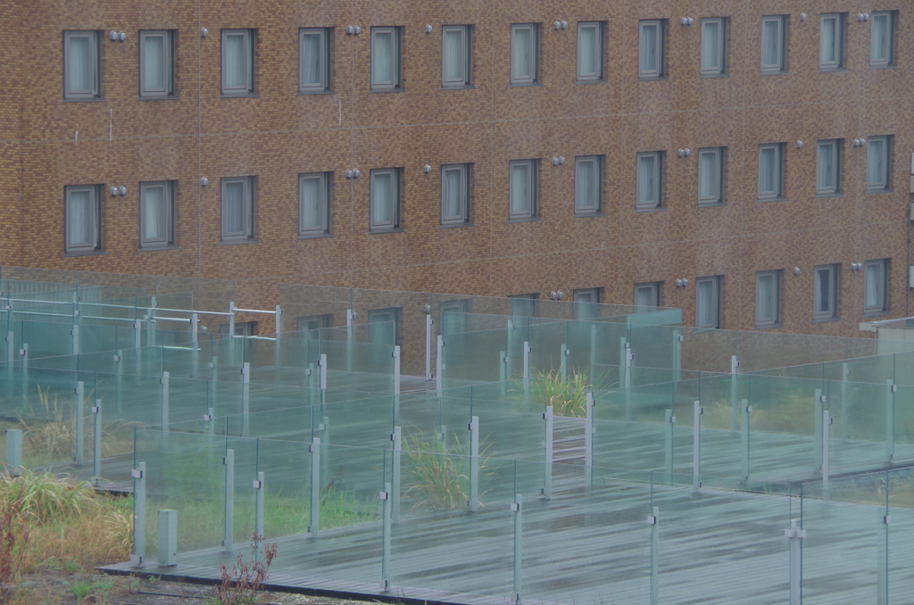 The roof after the rain