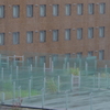 The roof after the rain