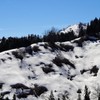 春の山肌-2