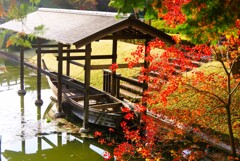 晩秋の日本庭園-2