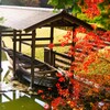 晩秋の日本庭園-2