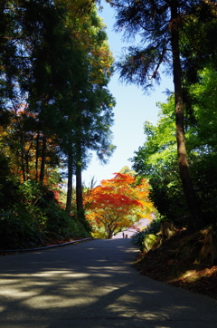 国上寺の紅葉-4