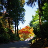 国上寺の紅葉-4