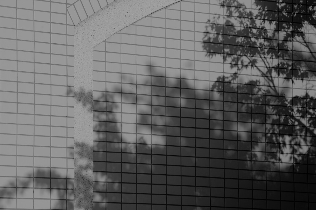 Light and shadow-544