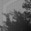 Light and shadow-544