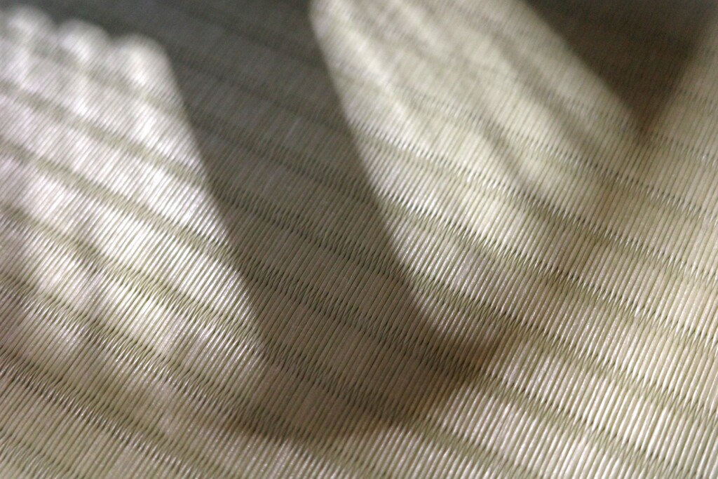 Light and shadow-832