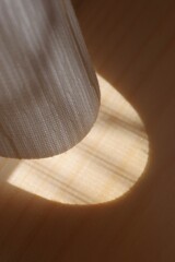 Light and shadow-879