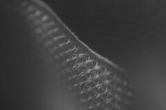Light and shadow-376
