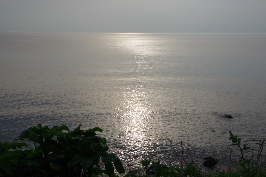 Diffuse reflection-4
