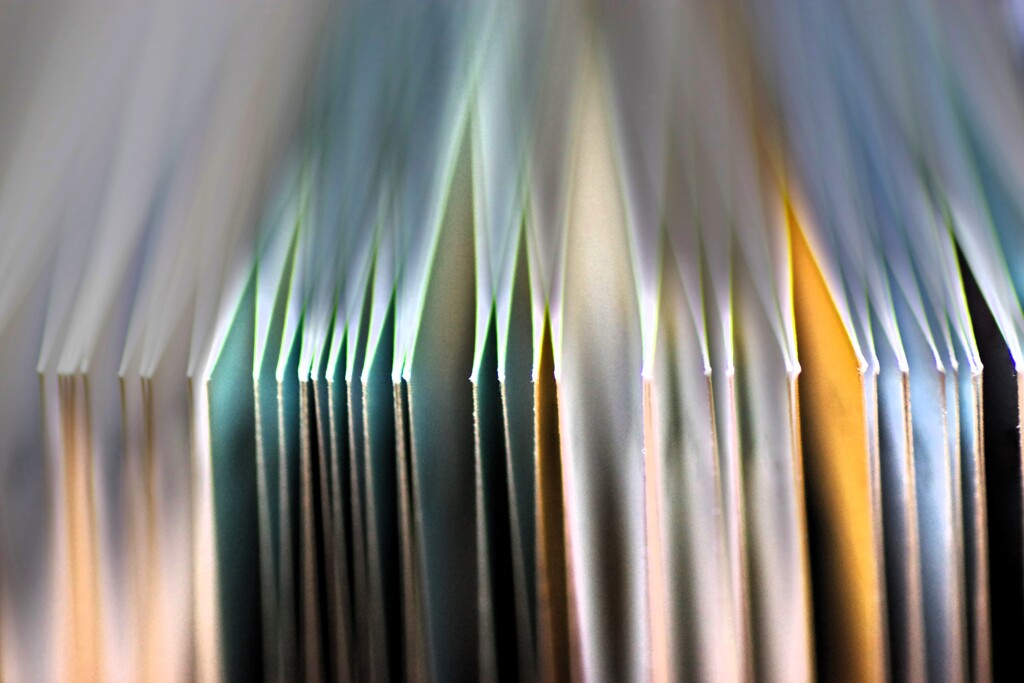 Light and shadow-757