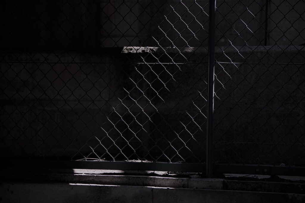 Light and shadow-380
