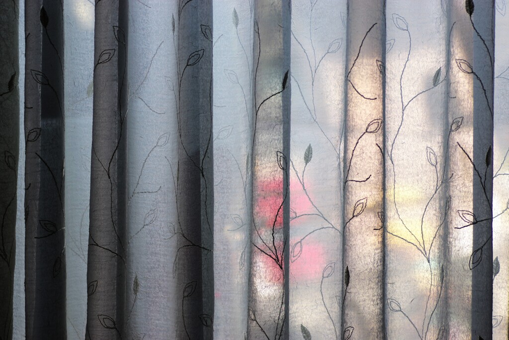 Light and shadow-909