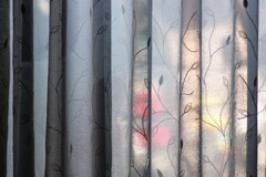 Light and shadow-909