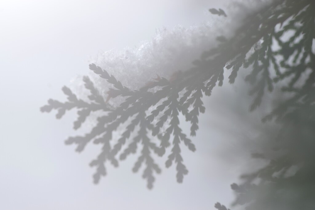 スモーキーなせかい